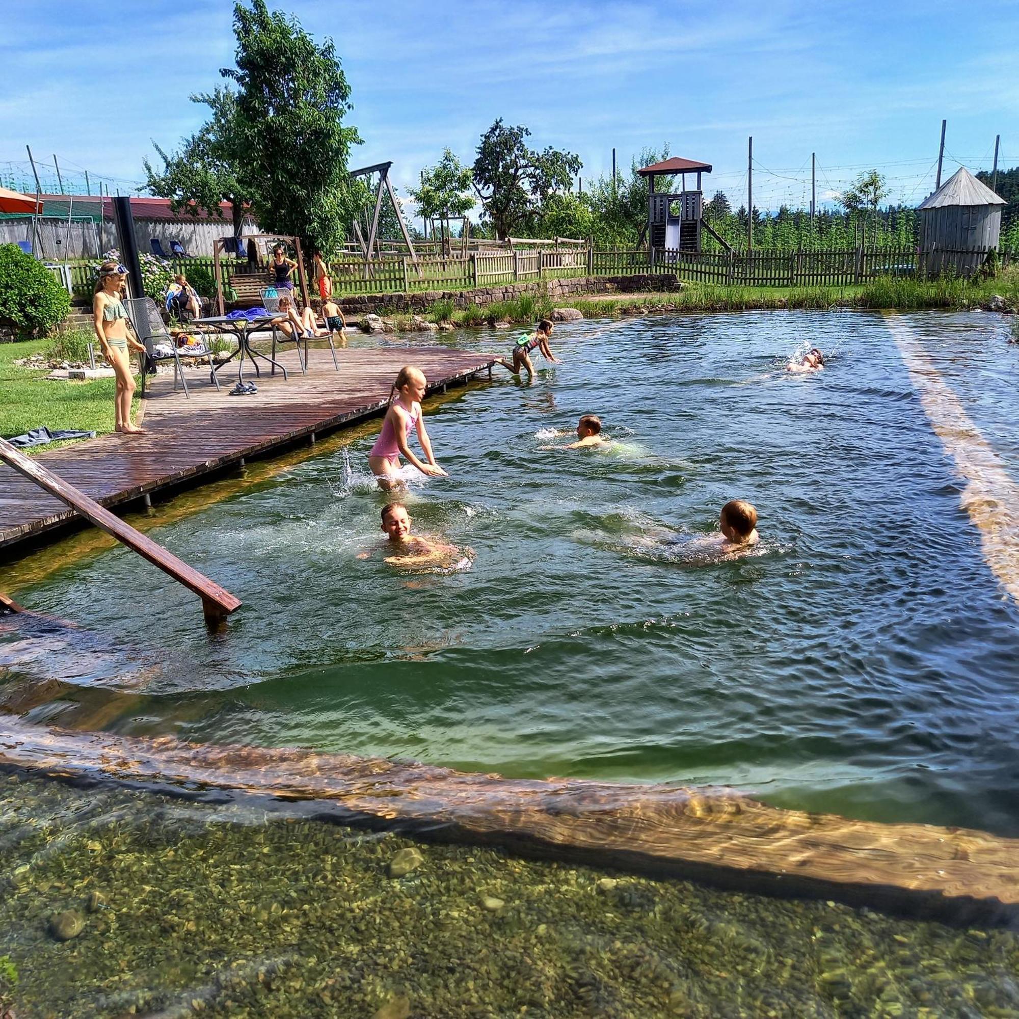 Ferienhof Metzler Bodnegg Ngoại thất bức ảnh